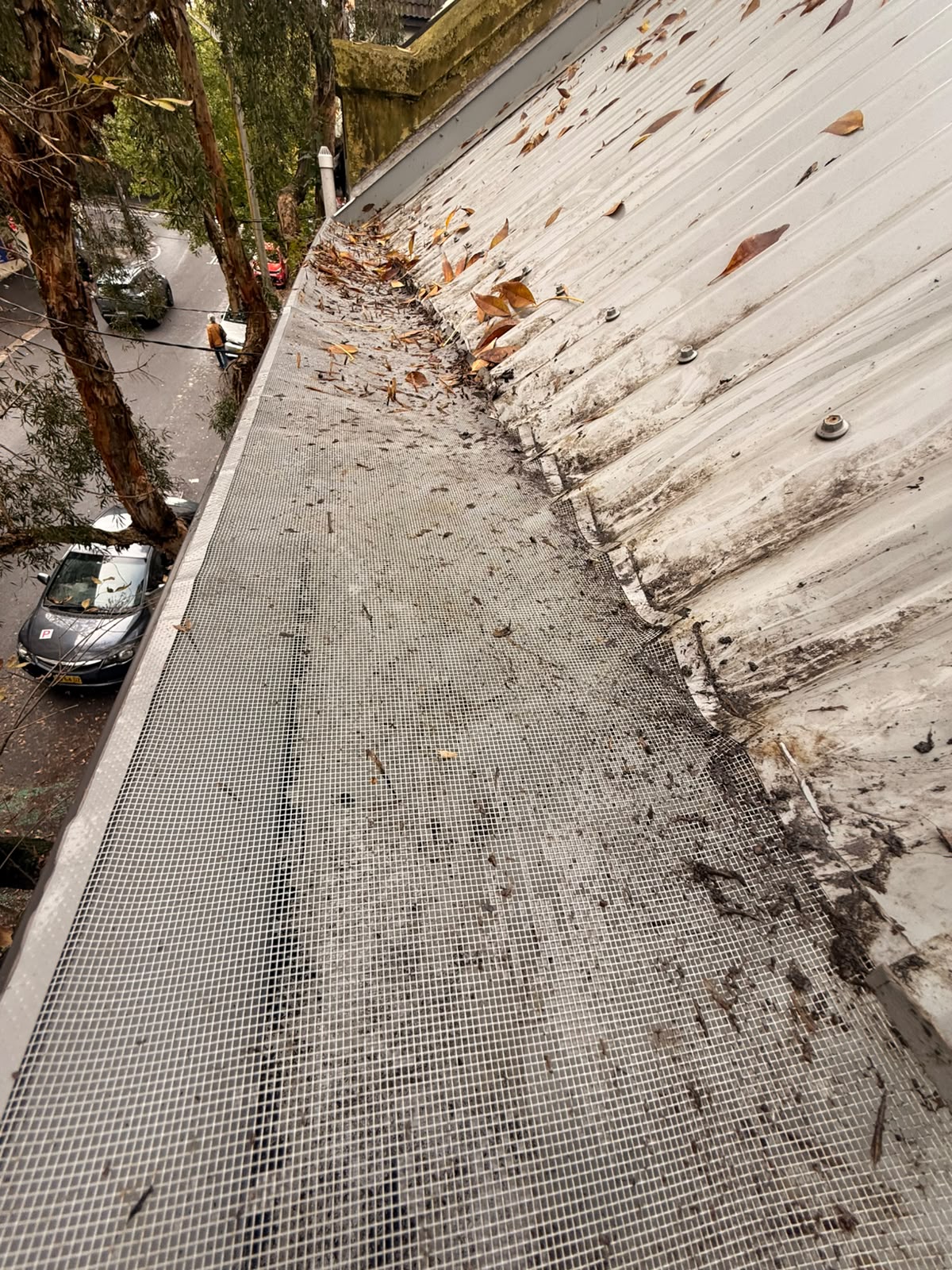 Gutter mesh guard filled with leaf debris before cleaning