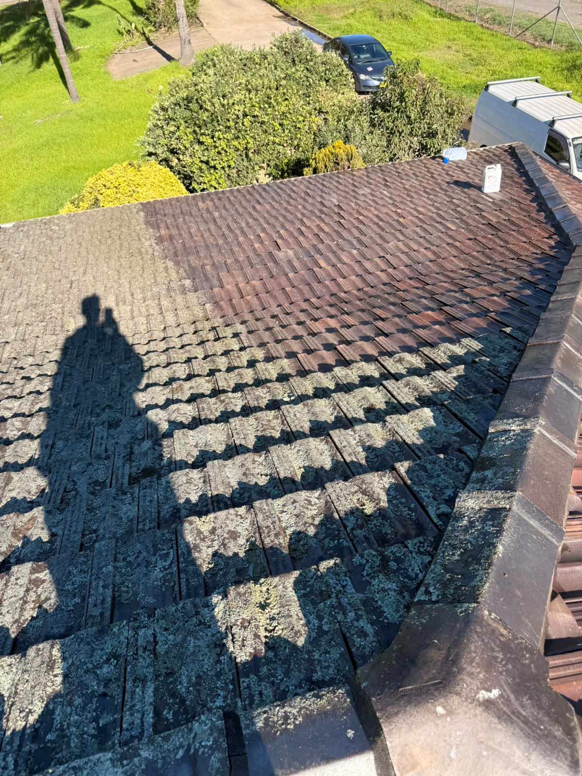 Roof covered in moss and lichen before cleaning, Sydney