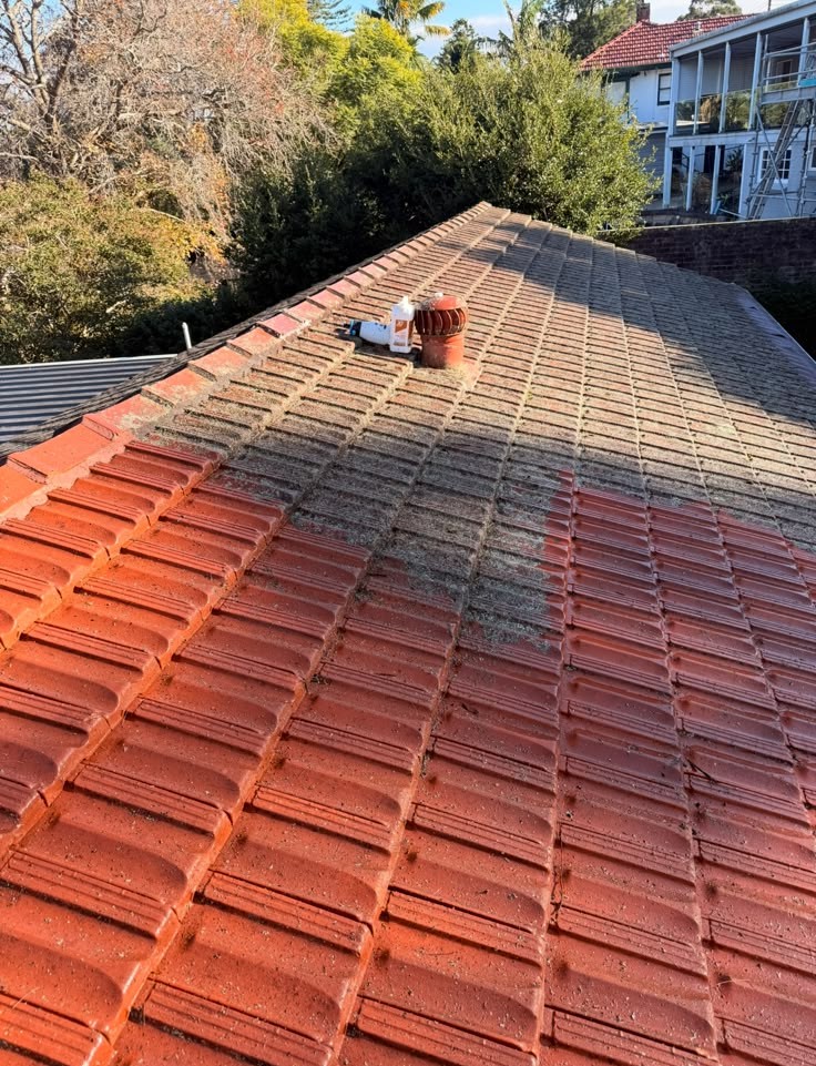 Roof tiles half-cleaned showing before and after contrast
